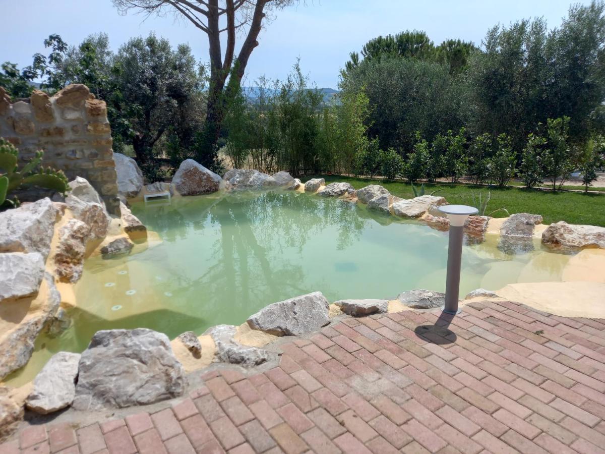 Agriturismo La Fontanella & Glamping Suvereto Buitenkant foto