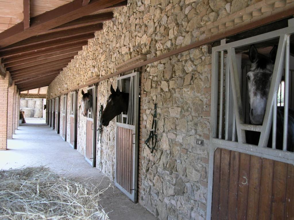 Agriturismo La Fontanella & Glamping Suvereto Buitenkant foto
